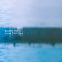 Benjamin Martins - Hollow Wild & Pines