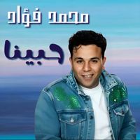 Mohamed Fouad - Habiena