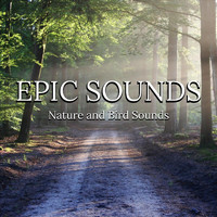 Epic Sounds - Nature and Bird Sounds