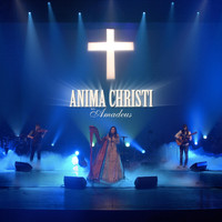 Trio Amadeus - Anima Christi (Live)