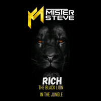 Mr Steve - Rich