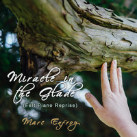 Marc Enfroy - Miracle in the Glade (Felt Piano Reprise)