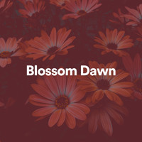 PianoDreams - Blossom Dawn