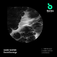 David Durango - Dark Water