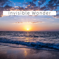 Janet - Invisible Wonder