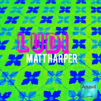 Matt Harper - LUDI