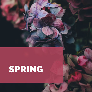 Various Artists - Spring