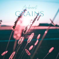 Good Chillaz - Ambient Grains