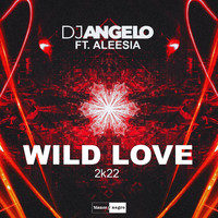 DJ Angelo - Wild Love (2K22)