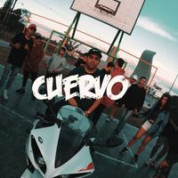 Cuervo - Still