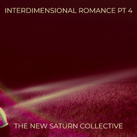 The New Saturn Collective - Interdimensional Romance Pt 4