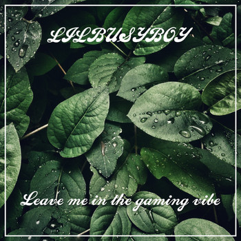 LILBUSYBOY - Leave me in the gaming vibe