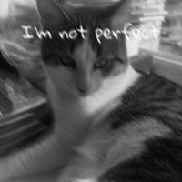 Turan - I'm not perfect (Explicit)