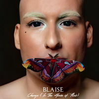 Blaise - Change (In the House of Flies)