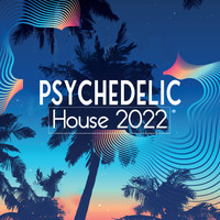 Ibiza Deep House Lounge - Psychedelic House 2022
