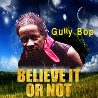Gully Bop - Believe It Or Not