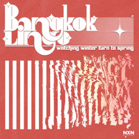Bangkok Lingo - Watching Winter Turn to Spring