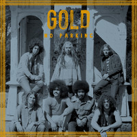 Gold - No Parking