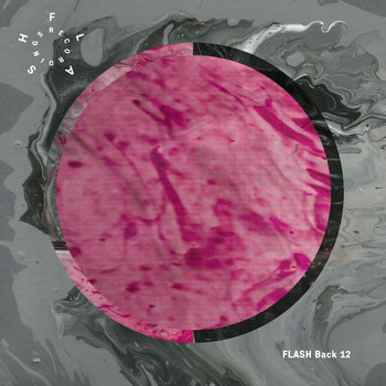 Various Artists - FLASH Back 12