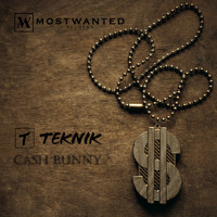Teknik - Cash Bunny (Explicit)