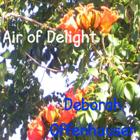 Deborah Offenhauser - Air of Delight