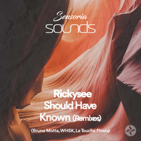 rickysee - Should Have Known Remixes