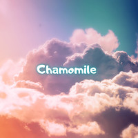 Chamomile - The Great Northern