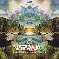 Nataraja3D - Reflectional Symmetry