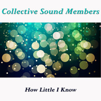 Collective Sound Members - How Little I Know