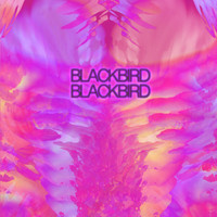 Blackbird Blackbird - Driving Down The I-5