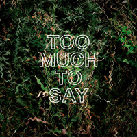 James Gruntz - Too Much to Say (Single Edit)