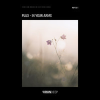 Plux - In Your Arms