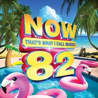 Various Artists - NOW That's What I Call Music! Vol. 82