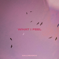 Callmearco - What I Feel
