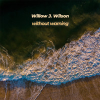 Willow J. Wilson - Without Warning