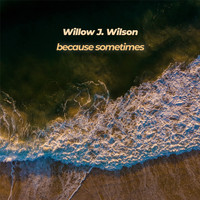 Willow J. Wilson - Because Sometimes