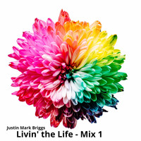 Justin Mark Briggs - Livin' the Life (Mix 1) (Mix 1)