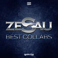 Zesau - Zesau Best Of Collabs (Explicit)