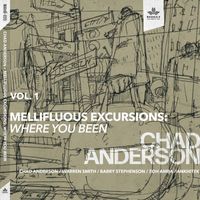 Chad Anderson - Mellifluous Excursions Vol. 1 - Where You Been