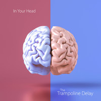 The Trampoline Delay - In Your Head