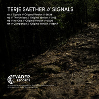 Terje Saether - Signals