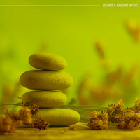 Various Artists - Lounge & Ambient Music