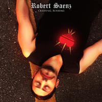 Robert Saenz - Crashing, Burning