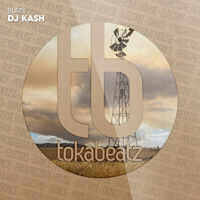 DJ Kash - Burn