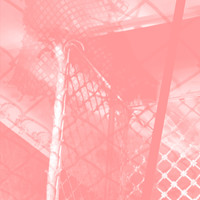 Pinkcourtesyphone - all intensive purposes
