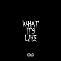 Joose - What Its Like (Explicit)