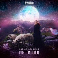 Hybrid Machines - Pusto No Lodo
