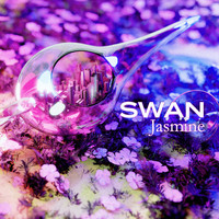 Swan - Jasmine