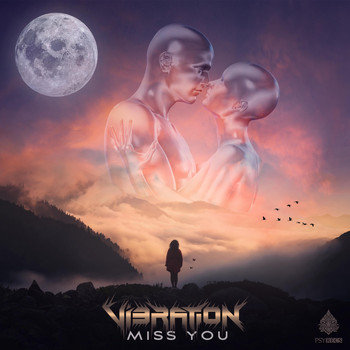 Vibration - Miss You (Explicit)
