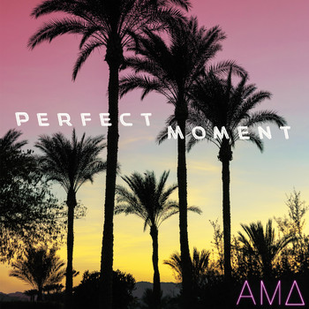 AMD - Perfect Moment